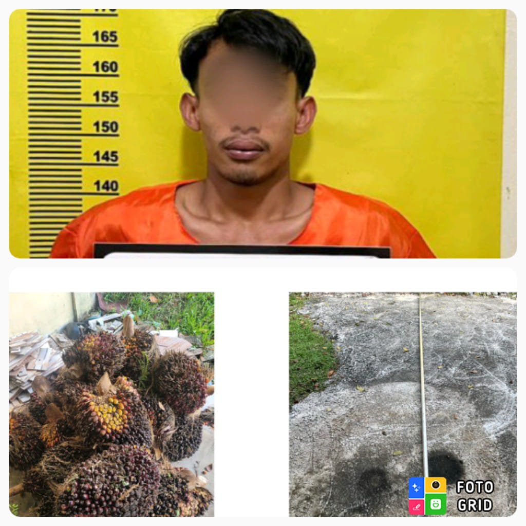 Polsek Bukit Kapur Berhasil Mengungkap Tindak Pidana Pencurian